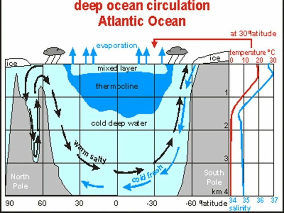 Климатических поясах расположен атлантический океан. Термоклин в океане. Сезонный термоклин. Климатические пояса Атлантического океана. Термоклин океана в умеренных широтах.