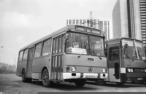 Автобусы 80 годов
