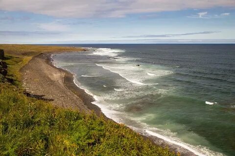 Белое Море: 2 тыс изображений найдено в Яндекс Картинках
