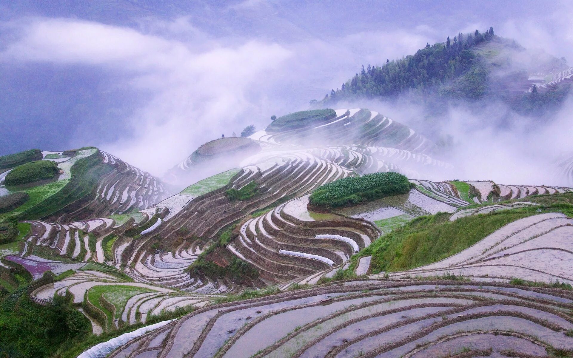 Поля террасы. Рисовые террасы Лунцзи. Рисовые террасы Юньнань. Рисовые террасированные поля в Китае. Террасирование склонов Китай.