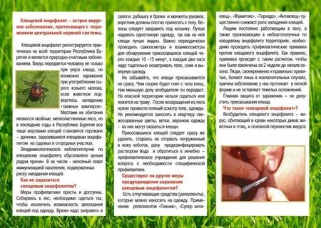 Энцефалит памятка