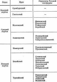 Система отдел ярус