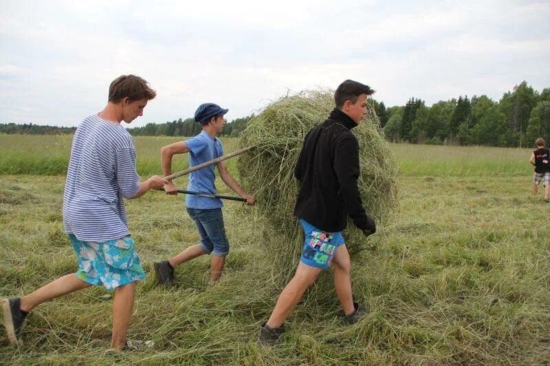 С мамой на сенокосе. Мальчик на сенокосе. Дети на сенокосе. Начало сенокоса.