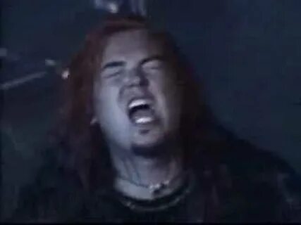 Sepultura attitude