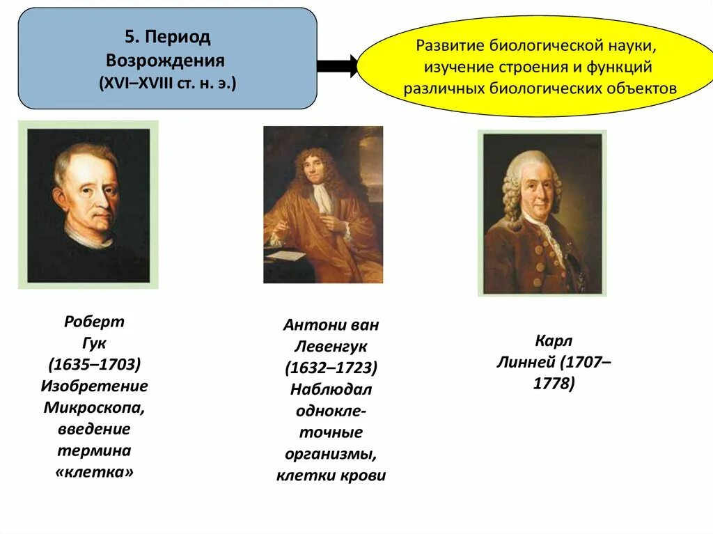 Биология как наука ответы на вопросы. Развитие биологии как науки презентация. Эпоха Возрождения социология.