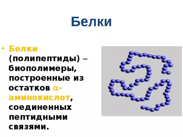 Полипептид это белок. Пептиды полипептиды белки. Белки биополимеры. Биополимеры белки кратко. Белки как биополимеры аминокислот.