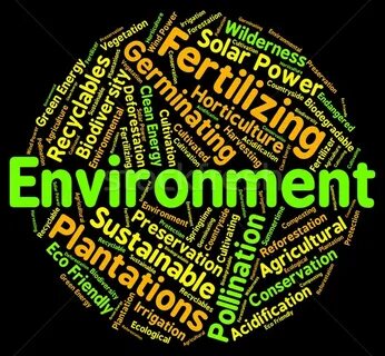 Environmental words