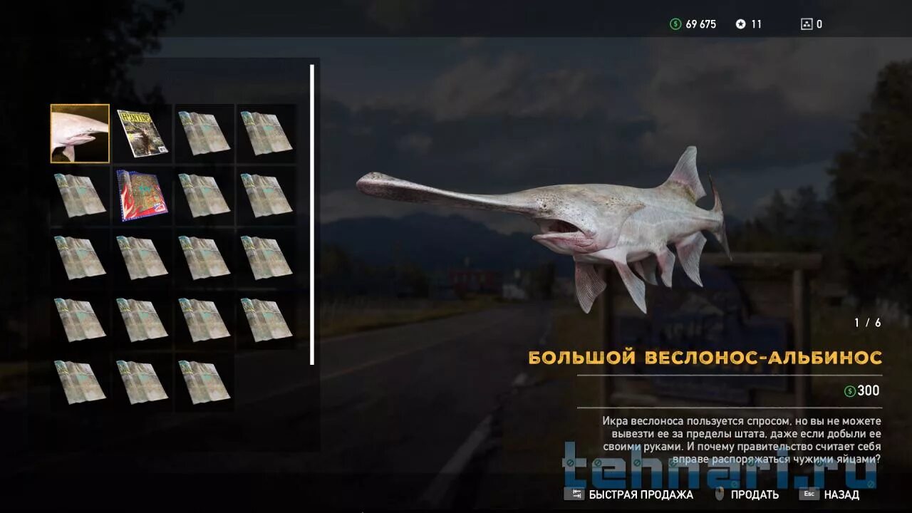 фар край 5 рыбалка. поймайте веслоноса альбиноса far cry. Far cry 5 рыба. Far cry 5 рекорды рыбалки. поймайте веслоноса альбиноса far cry.