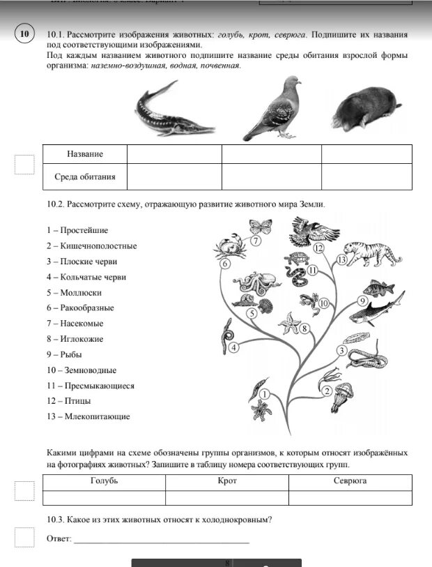 Среды обитания впр 5 класс. Растения впр 5 класс. Под каждым названием растения укажите среду его обитания наземно. Задание впр биология. Биология таблица среда обитания.