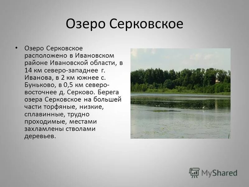 Водные богатства владимирской области. Озеро Серковское Ивановская область. Водоёмы Ивановской области. Водные объекты Ивановской области. Реки и озера Ивановской области.