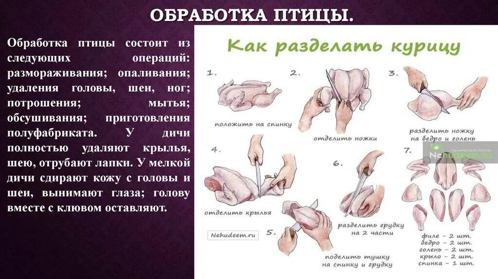 Обработка сельскохозяйственной птицы. Разделка дичи. Разделка дичи. Виды разделки птицы. Схема механической кулинарной обработки птицы.