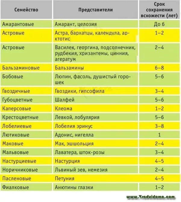 Через сколько дней всходят перцы после посева. Сроки всхожести семян цветов таблица. Сохранение всхожести семян овощей. Сроки всхожести семян. Таблица сохранение всхожести семян.