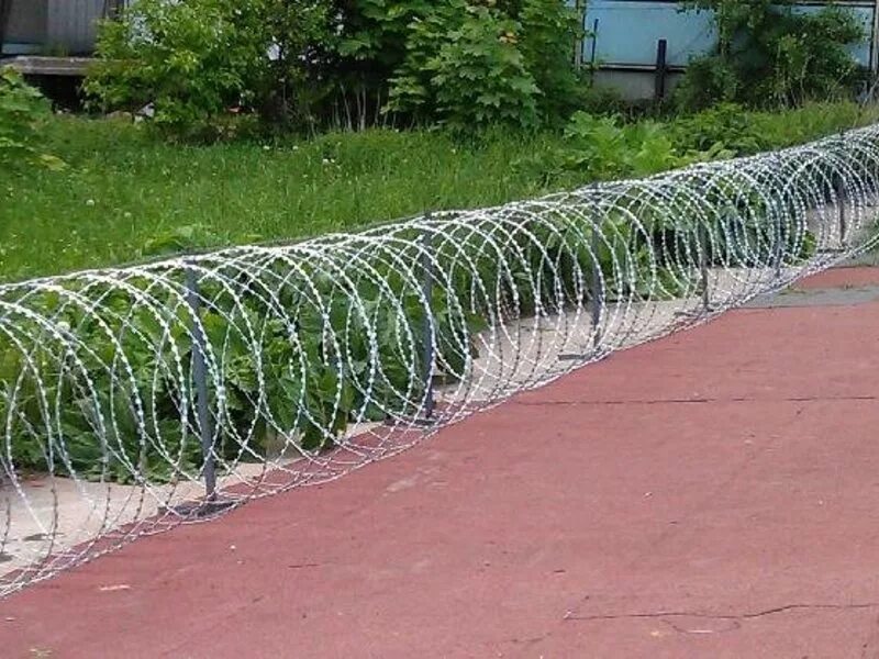 Великан егоза. Акл по земле. колючая проволока по земле. спиральный барьер безопасности по зданию. проволока колючая &quot;егоза&quot; по земле.