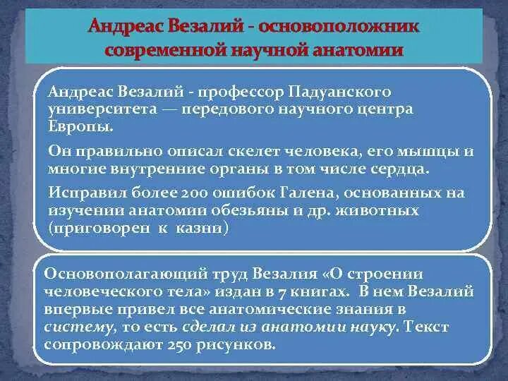 Основоположник современной научной анатомии. Медицина Западной Европы в период позднего средневековья. Становление научной анатомии в Западной Европе. Медицина раннего и классического средневековья в Западной Европе.