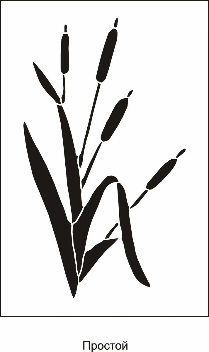 Тростник силуэт. Шумел камыш деревья. Рогоз речной. Камыш вектор. Рогоз лаксмана.