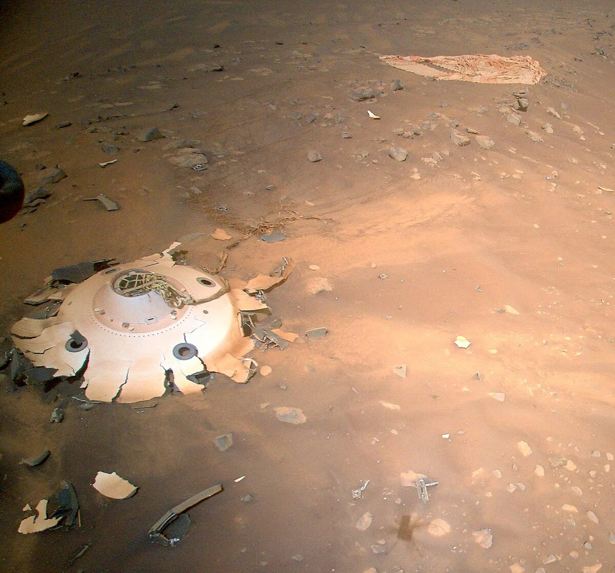21 ноября 2008