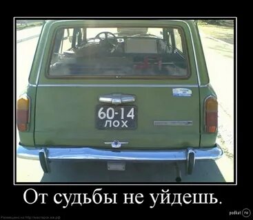 Лох это судьба