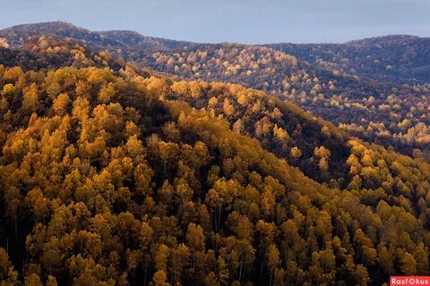 Октябрь башкортостан