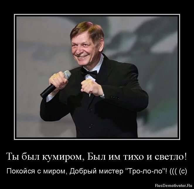 Хочу быть кумиром. Кумир картинки. ты был кумиром миллионов. мистер добрый кот. тяжело быть кумиром шутки.