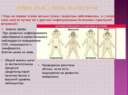 Корь краснуха эпидемический паротит