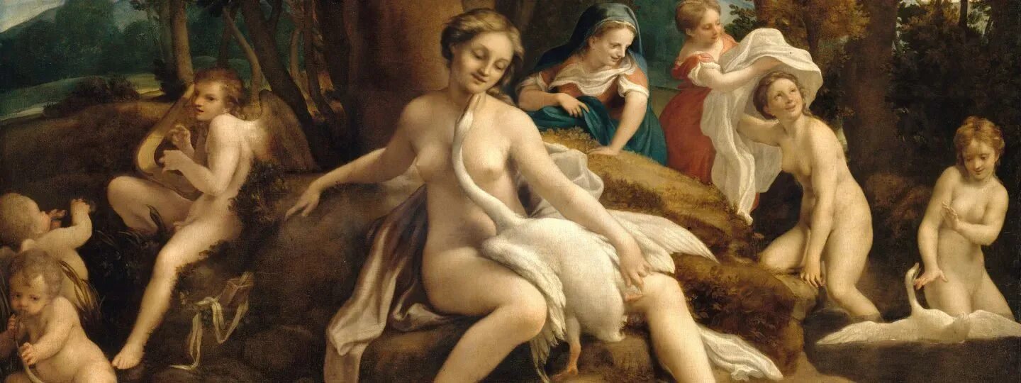 Энн шинглтон леда. Леда и лебедь картина леонардо. Леда и лебедь леонардо. Леда и лебедь леонардо. Лувр картины леонардо да винчи.