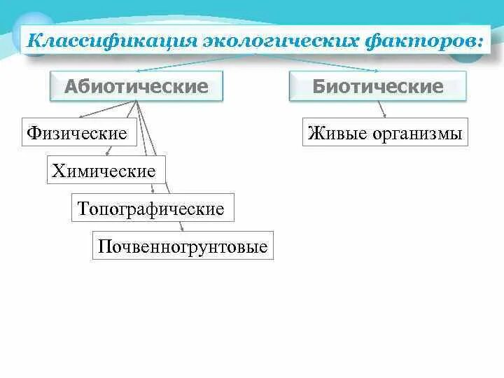 Классификация экологических факторов. Классификация экологических факторов химические. топографические экологические факторы. классификация факторов окружающей среды физические химические. экологическая классификация организмов.