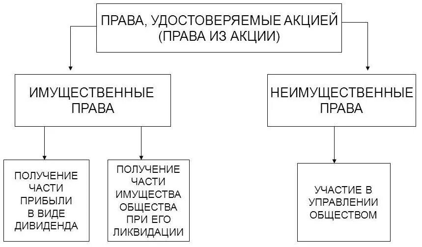 Какое право не дает владельцу. Имущественное право акции. Какое имущественное право дают акции.