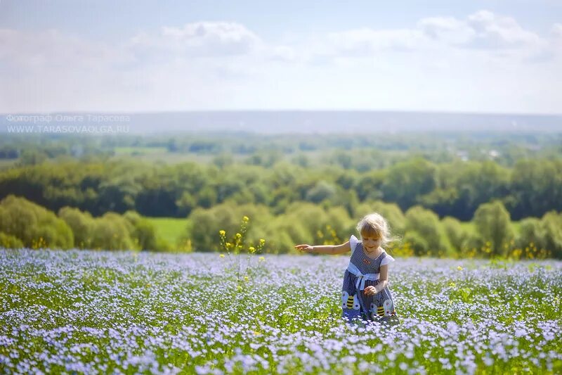 летний пейзаж. гуляет на просторе. летний ветерок. гуляет на просторе. гуляет на просторе.