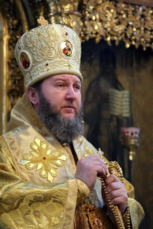 епископ антоний моравичский. владыка антоний пантелич. пантелич епископ москва. антоний (пантелич) образование. антоний (пантелич).