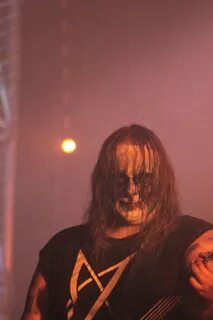 Carpathian forest