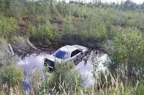 Погода в каюкова