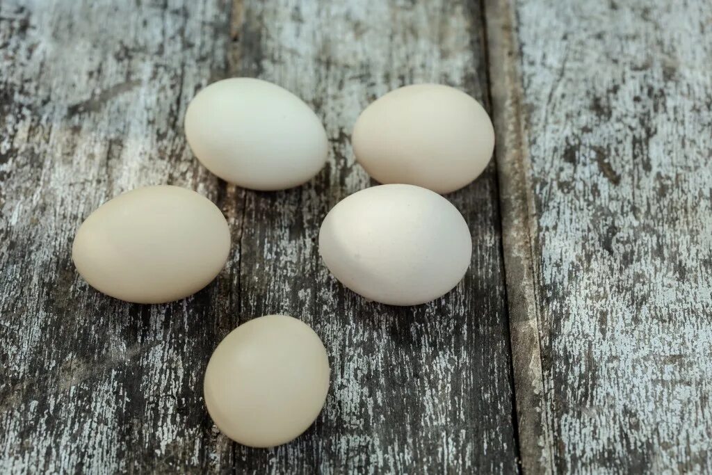 Белые куры несут белые яйца. Литье яиц. Яйцо без скорлупы причины. Какие курицы несут белые яйца. Курица несёт яйца с кровью на скорлупе почему.