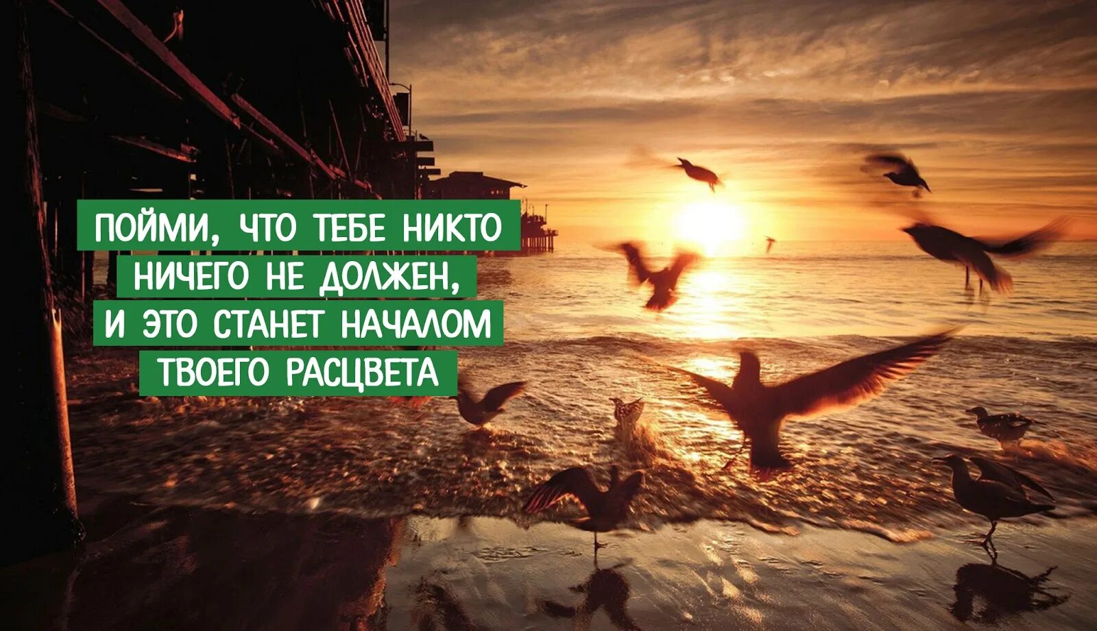 Никого ничем нечем