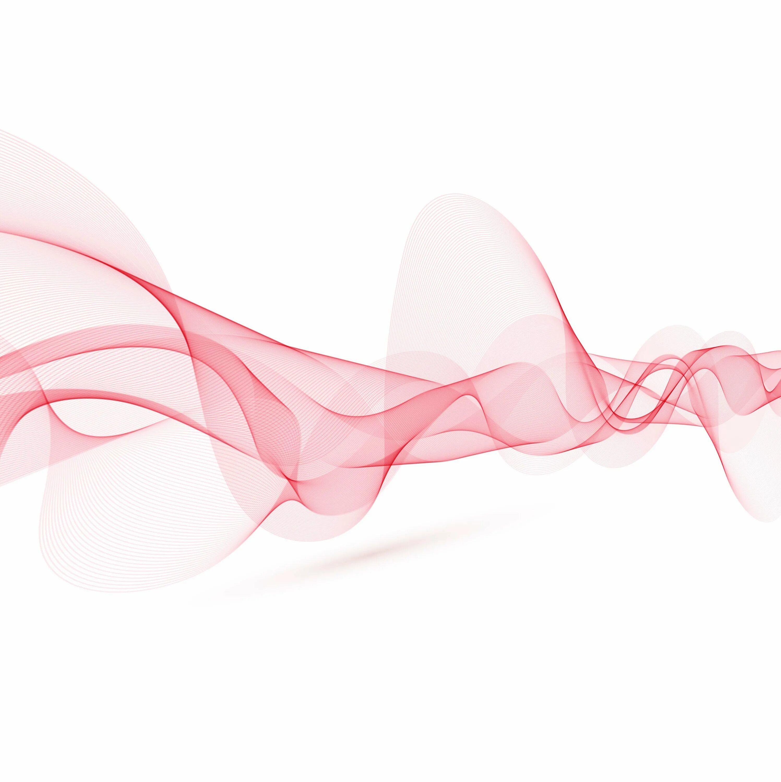 Абстрактные линии на прозрачном фоне. Абстрактные линии на белом фоне. Розовые линии на белом фоне. Красивые векторные линии.