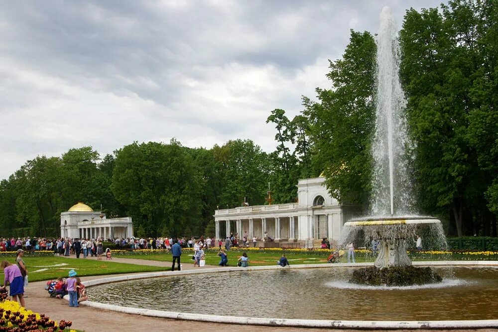 Петергоф сыктывкар. Воронихинские колоннады в петергофе. петергоф май. фонтаны чаши в петергофе. фонтан в петродворце воронихинская колоннада.
