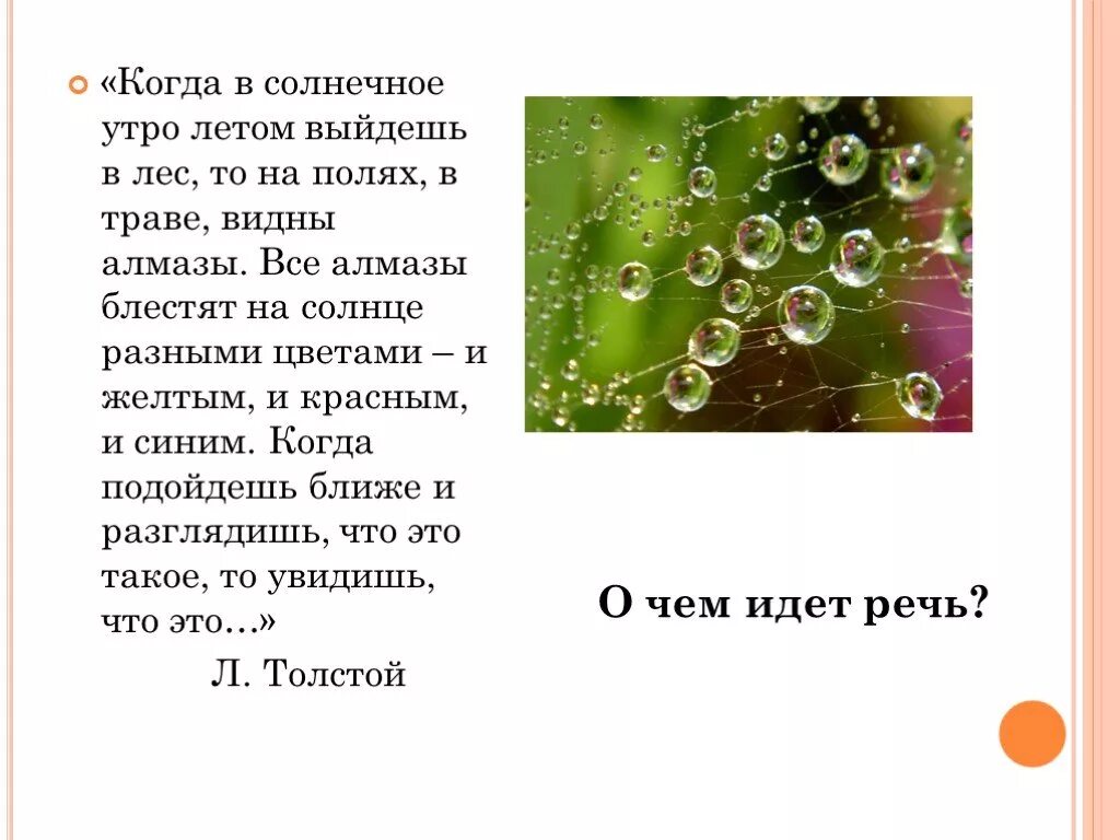 Капельки росы какая часть речи. В солнечное летнее утро в лесу на полях в траве видны Алмазы. Когда в солнечное утро летом пойдешь в лес то. Когда в солнечное утро пойдёшь в лес то в траве увидишь Алмазы. Солнечным утром в траве на полях видны Алмазы эти Алмазы.