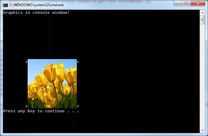 Консоль windows c. Графика в консоли. консольное приложение с графикой. графики в консоли console. графика в консоли windows.