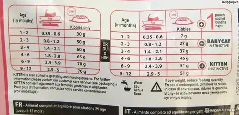 Сколько грамм сухого корма нужно котенку