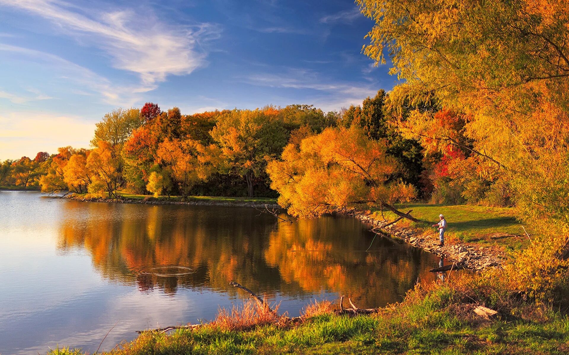 Яркая осень. Осенний пейзаж. Autumn hard. Autumn hard. Осень в лесу.