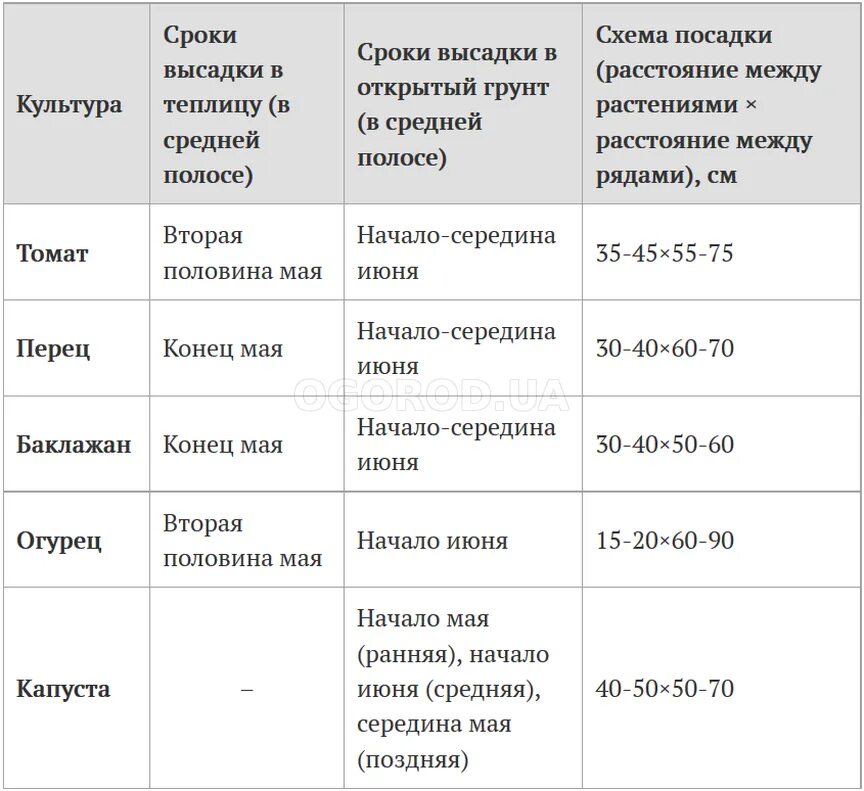 Время высадки в открытый грунт