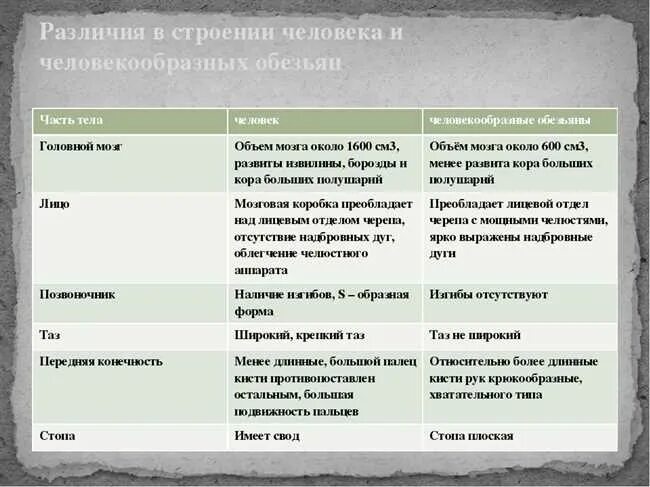 помогите прошу заполните таблицу особенности строения соцвений