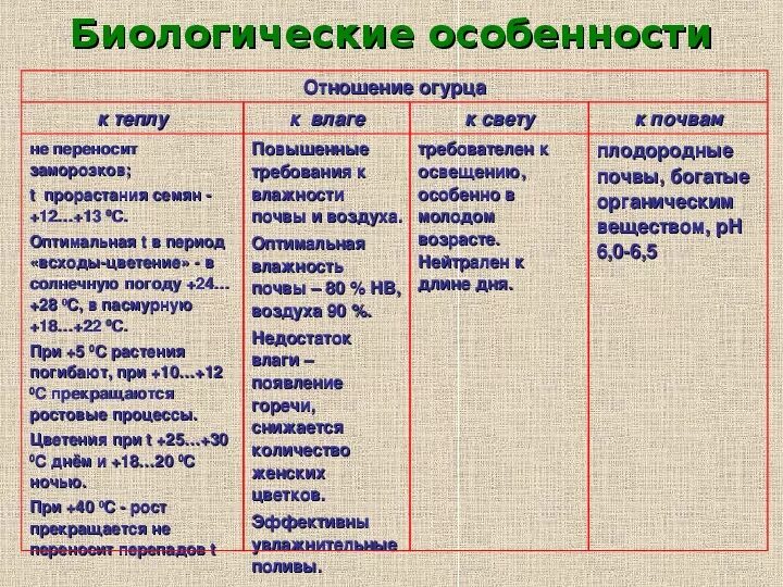 К какой культурной группе относится огурец. Морфологические особенности огурца. Особенности строения огурца. Морфологическое строение огурца. Биологические особенности огурца.