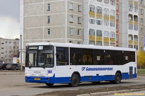 Нефаз 5299 32