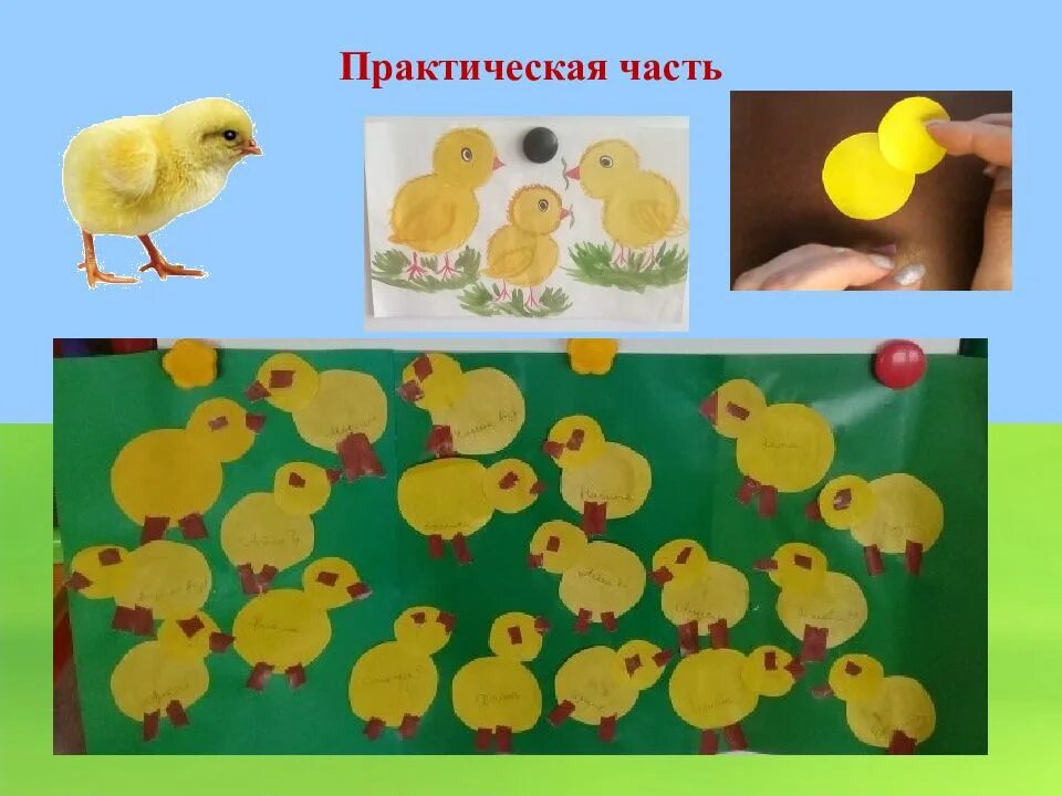 Аппликация цыплята младшая. Аппликация цыплята на лугу во второй младшей группе. аппликация цыплята на лугу младшая группа. аппликация 2 младшая тема: «цыплята на лугу».. аппликация цыплята на лугу 2 мл.гр.