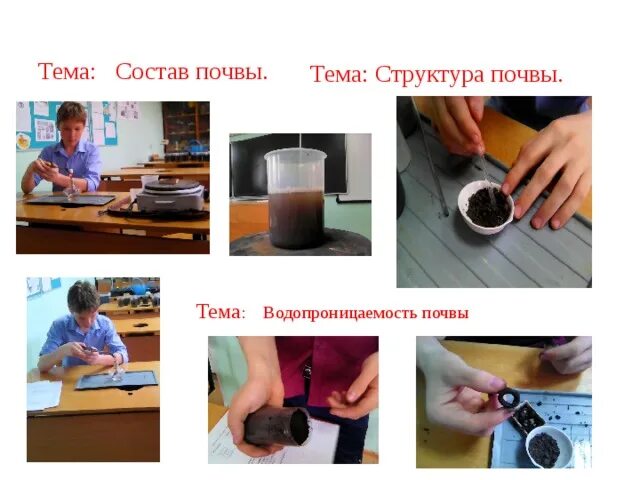 Исследовательская работа на тему: "Почва. Влияние почвы на рост растений"