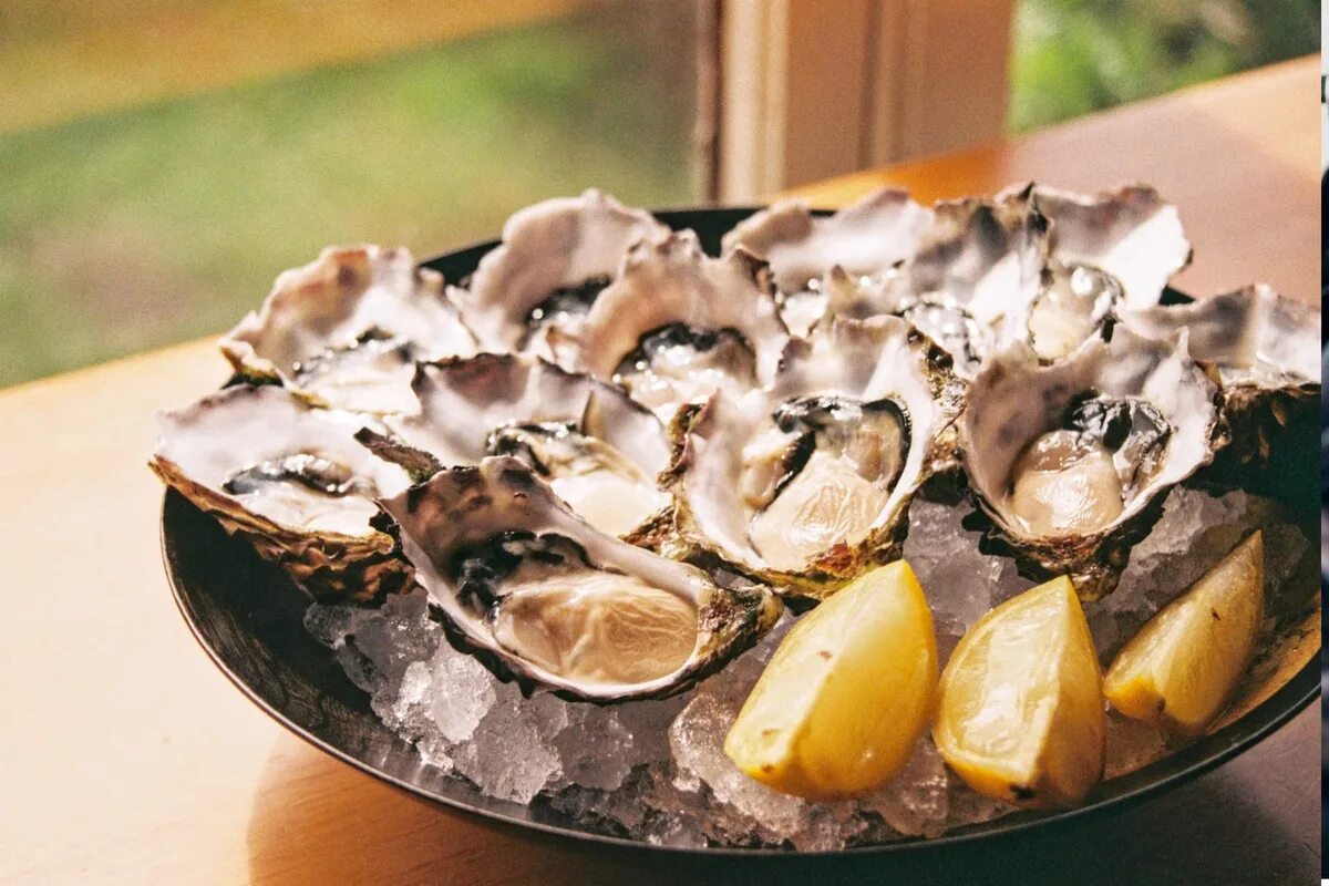 Устрицы и вино. Поедание устриц. Устрицы. Устрица под сыром новокузнецк. Устрица касабланка.