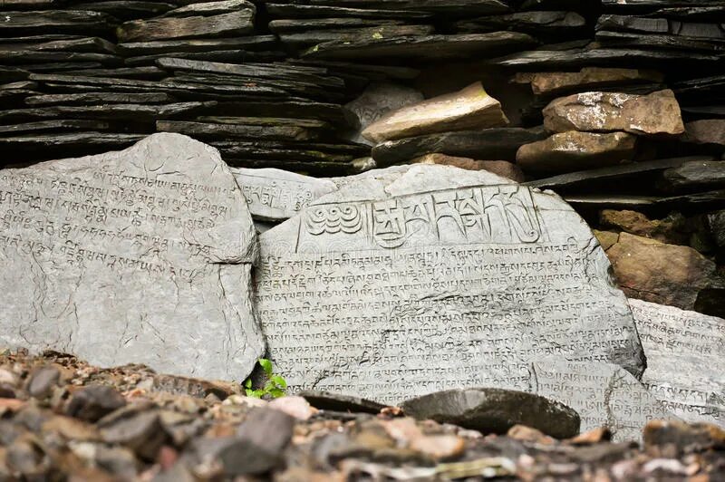 Молиться камням. Верещагин христос в пустыне. Преподобный серафиме саровский икона. Прп серафим саровский икона. Преподобный серафим саровский чудотворец.