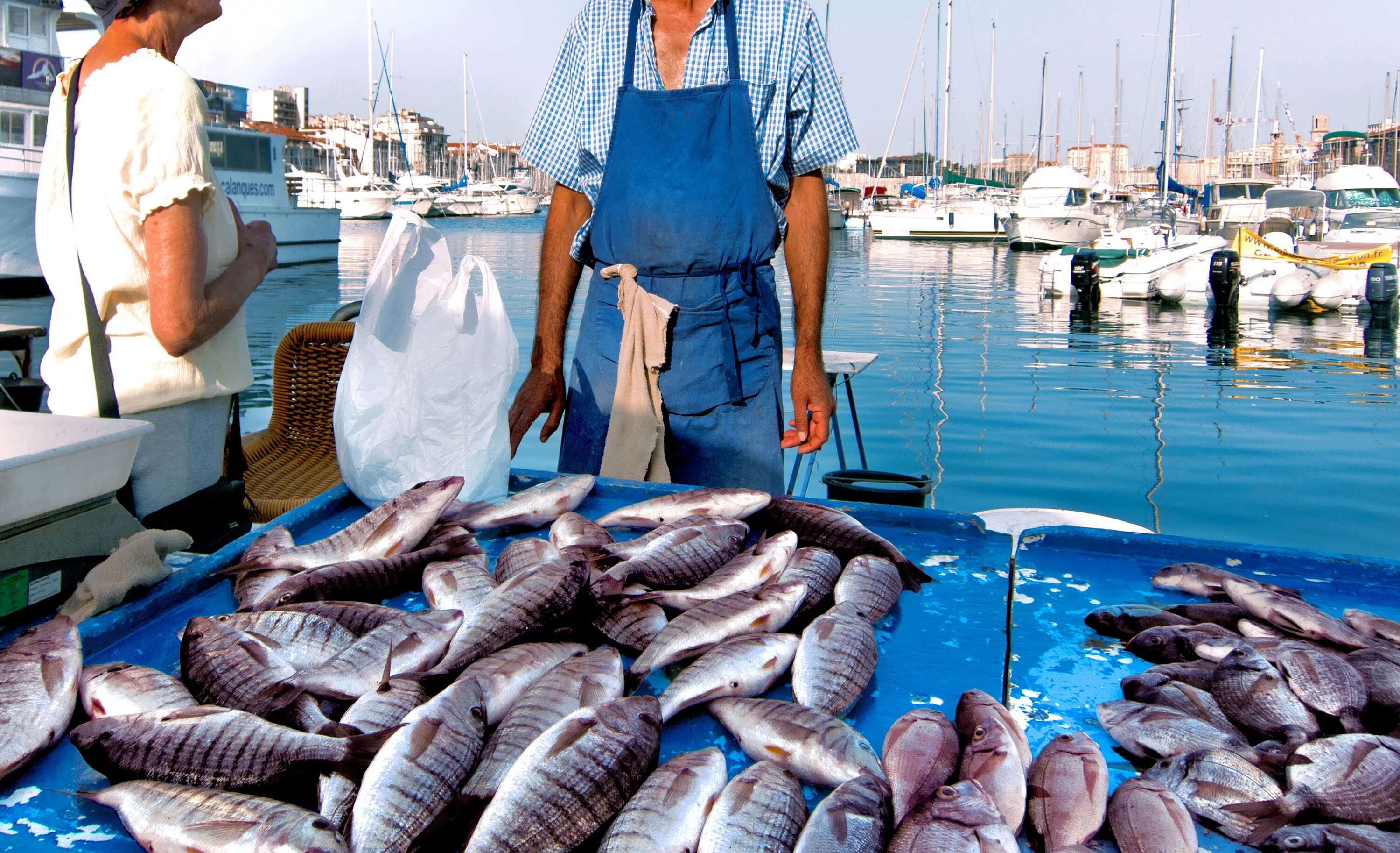 Где рыбный рынок на волне. Рыбный рынок. Рыбный рынок во Франции. Марсельский рыбный рынок. Рыбный рынок в Португалии.