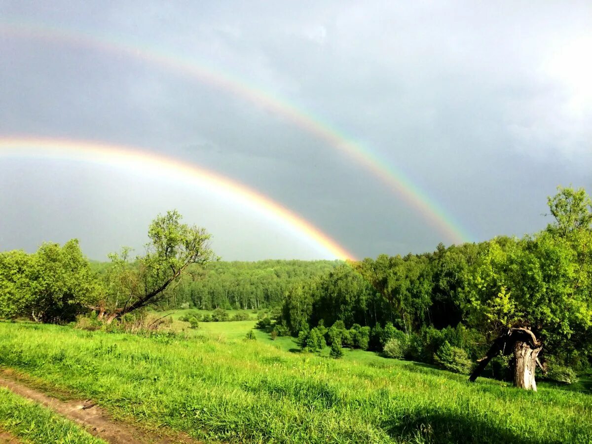 Тютчева радуга. Радуга в природе. Летние явления в живой природе. Явления лета. Летняя радуга.