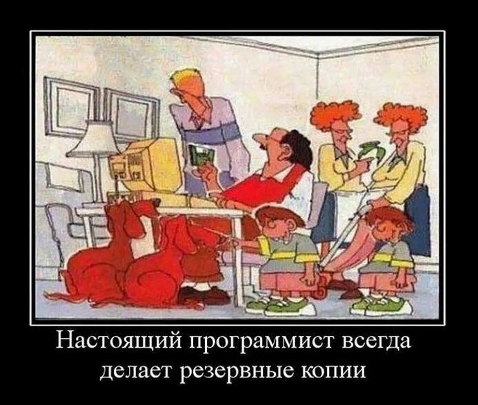 Настоящий программист. Шутки про программистов. программист демотиватор. настоящий программист всегда делает резервные копии.